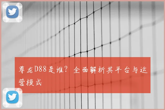 尊龙D88是谁？全面解析其平台与运营模式