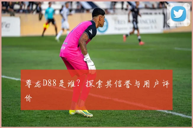 尊龙D88是谁？探索其信誉与用户评价