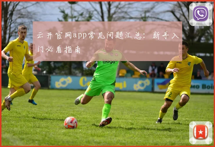 云开官网app常见问题汇总：新手入门必看指南